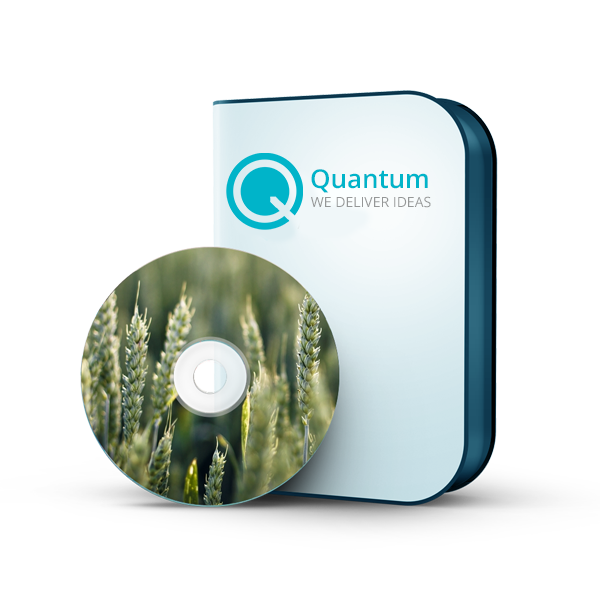 Quantum Photo Editor